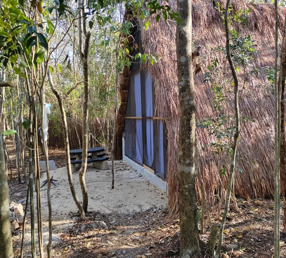 El Cenote 11:11 Hotel Tulum 0*,  Mexico